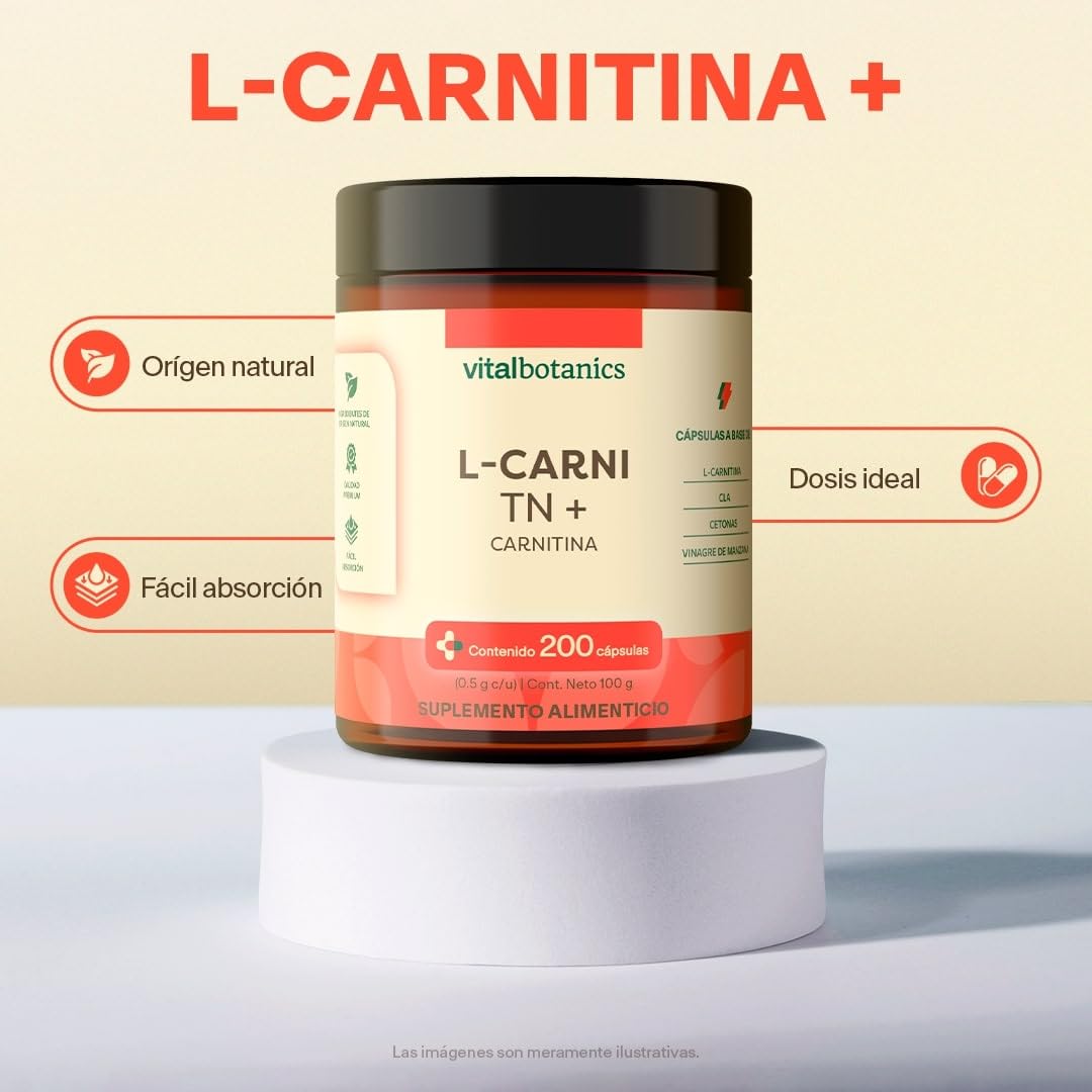rsp l carnitine 3000 Pro Supps L-Carnitine 3000