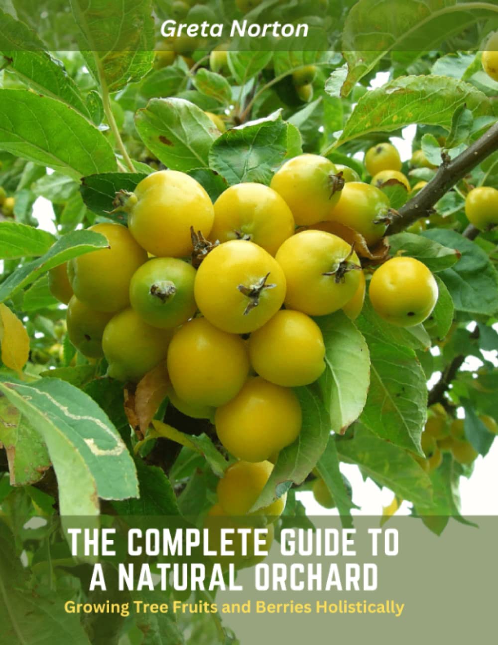The Complete Guide to a Natural Orchard: Growing Tree Fruits and Berries Holistically