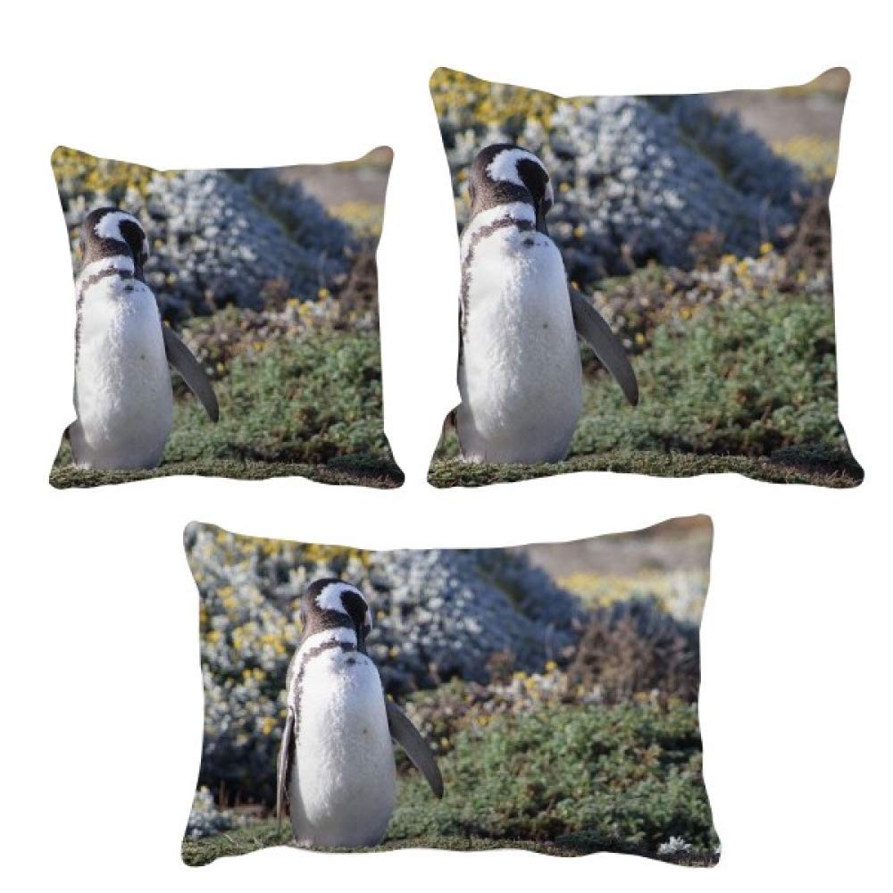Coussin pingouin Spheniscidae idéal pour revitaliser un vieux canapé