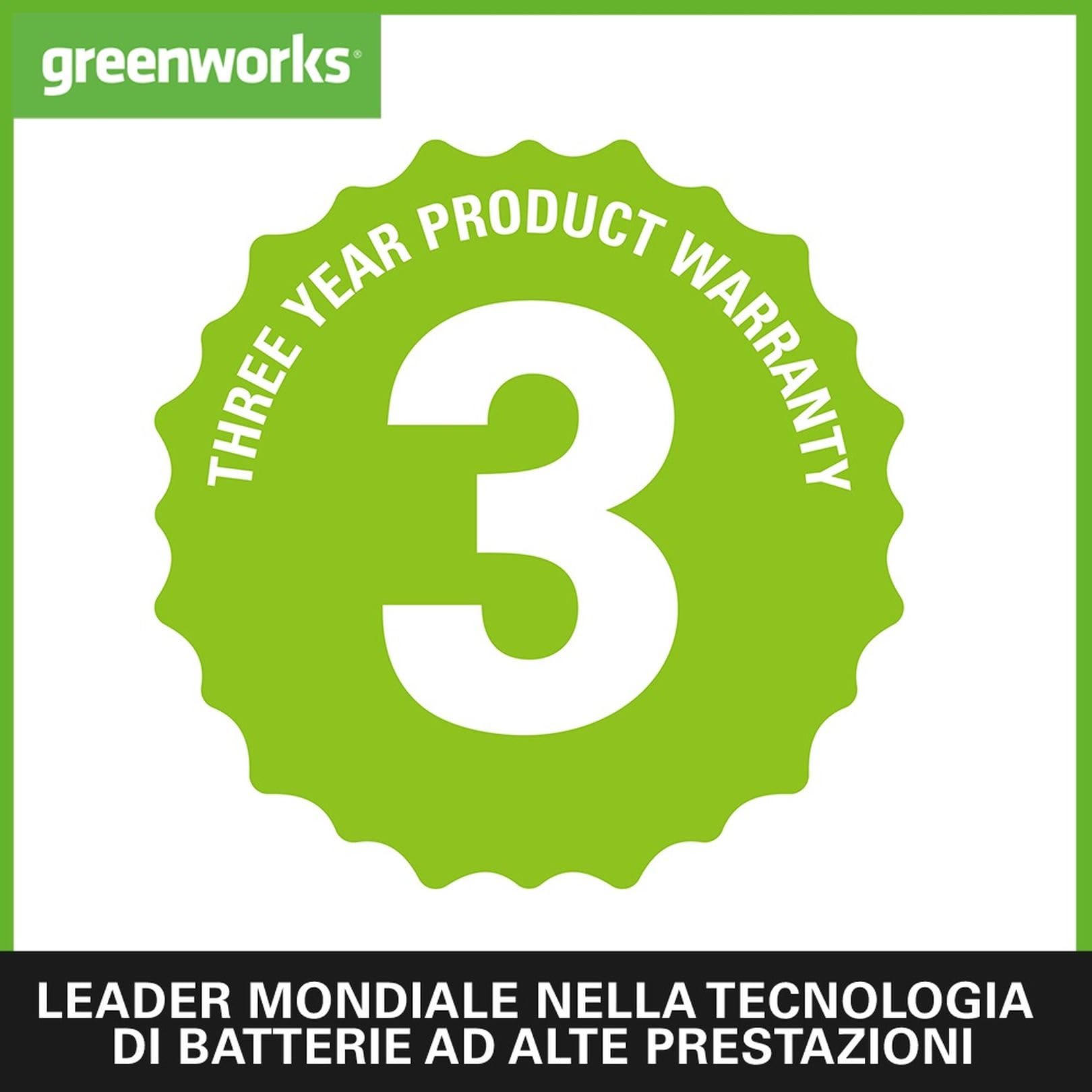 Greenworks G24ABII Soffiatore Foglie Assiale a Batteria, 145km/h, 9,08m³/min, SENZA Batteria 24V e Caricabatterie, Garanzia 3 Anni