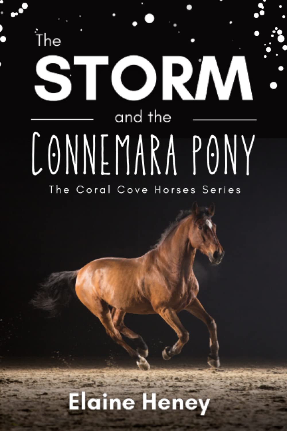 The Storm and the Connemara Pony: The Coral Cove Horses Series: 2 (Coral Cove Horse Adventures for Kids)