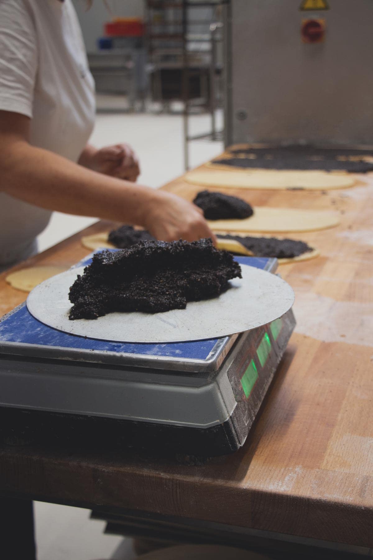 Bio Schlesischer Mohnstollen 800 g mit Dinkel Butterstreusel I ohne Rosinen I ohne Palmöl,