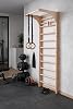 Swedish Ladder Wall Bars ˝Kombi-1-220˝, EU WAREHOUSE Gymnastics, Home gym, Sport complex, Indoor