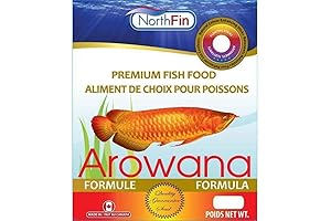Northfin Arowana: A Majestic Aquarium Addition