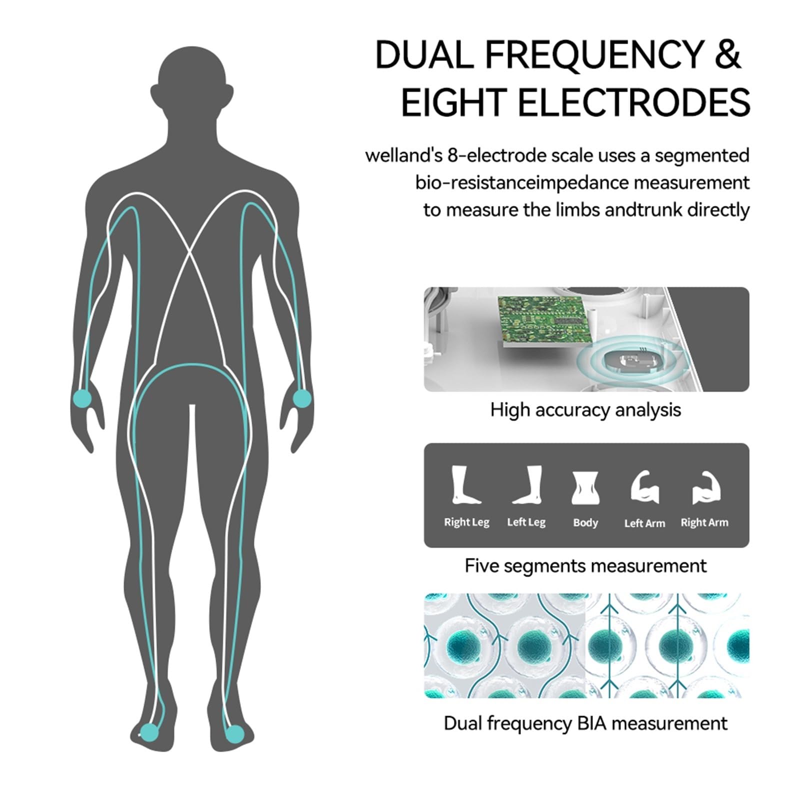 Smart 8 Elettrodi Bioimpedenza Elettronica Digitale Bilancia Peso Corpo Grasso Acqua Massa Muscolare Composizione BMI Preciso E Facile Da Leggere