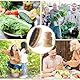 2 Stück Kartoffelbürste, Gemüsebürste, Gemüsebürste Holz, Pilzbürste Handflächenbürste Aus, Topfbürste Spülbürste Champignonbürste Kartoffelbürste für Küche Spüle, Rutschfestem Obstbürste