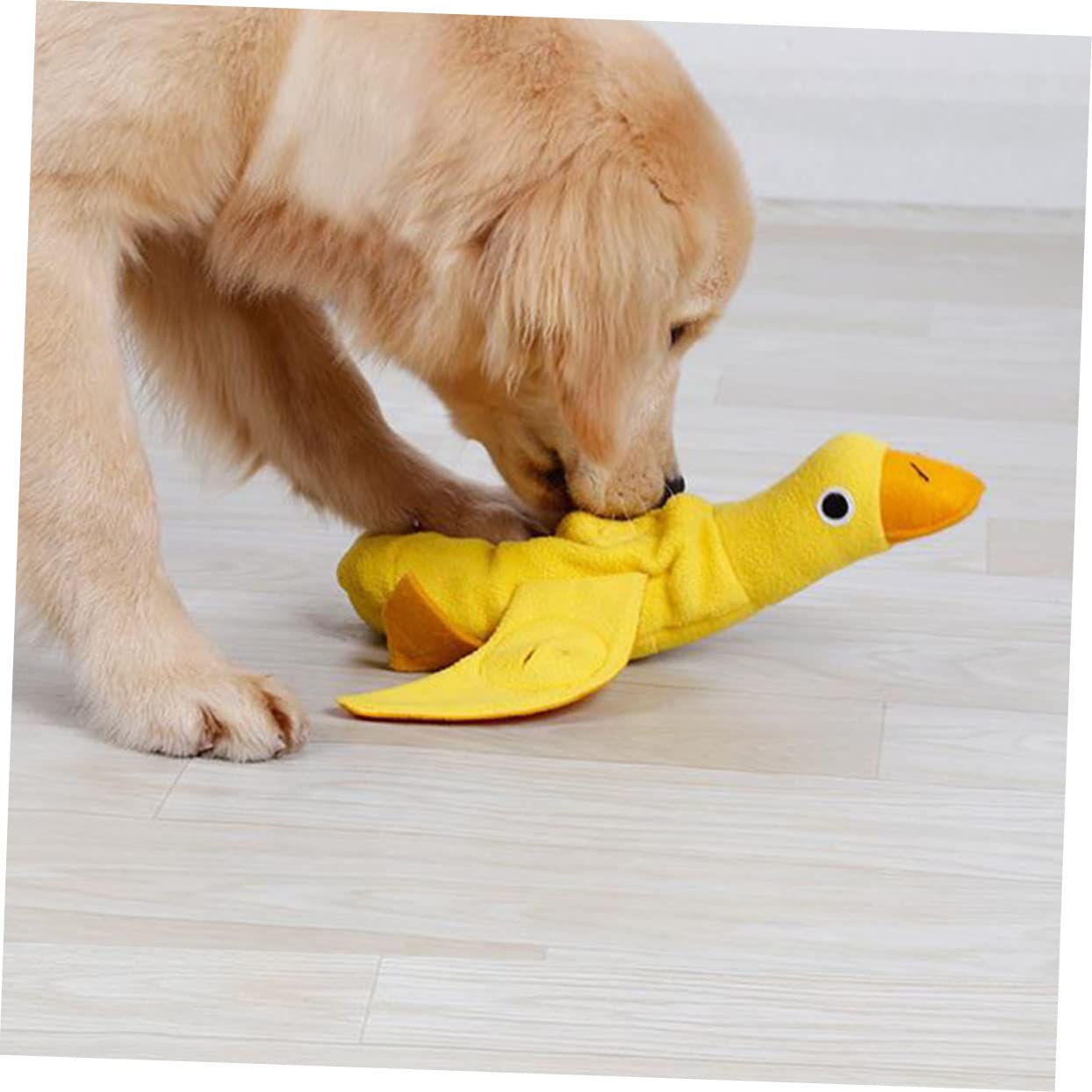 Supvox 3stücke Pet Squeaky Toy Für Hunde Ducke Interaktives Kauspielzeug Fördert Natürliche Verhaltensweisen Für Welpen Und Kleine Hunde Stimuliert Energie Und Spieltrieb
