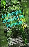 La jungle, chaude et humide: La jungle est une vaste étendue silencieuse, à la végétation luxuriante, au climat humide et chaud.