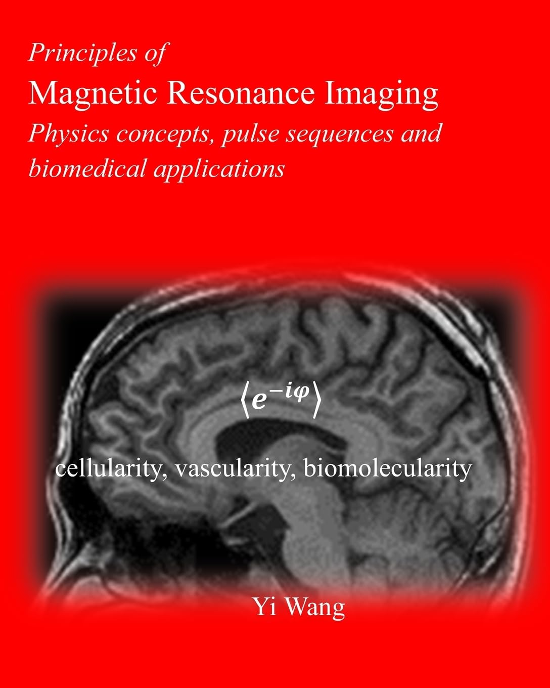 Amazon | Principles of Magnetic Resonance Imaging: Physics