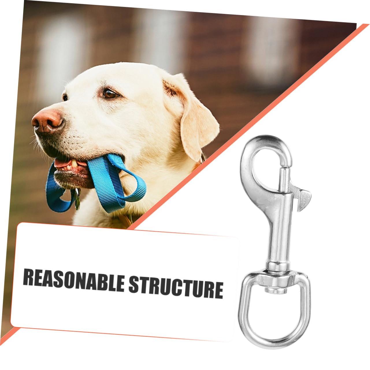 Gatuida 6stücke Edelstahl Drehbare Schnapphaken Für Hundeleinen Robuste Lanyard-clips Für Vielseitige Anwendungen Für Haustiere Und Outdoor-aktivitäten