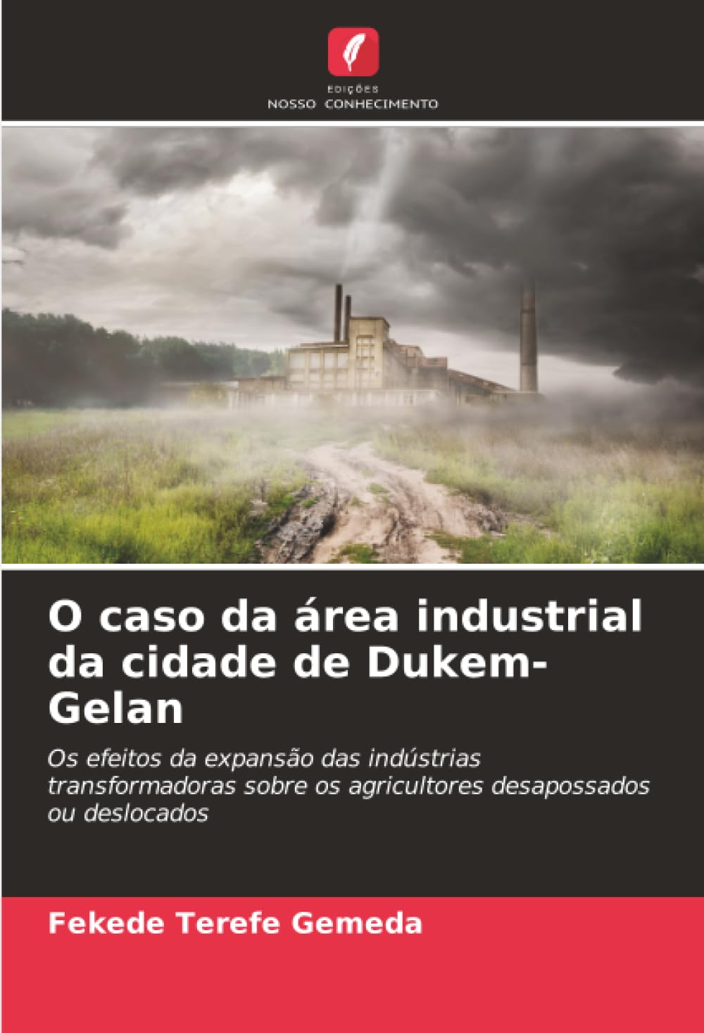 O caso da área industrial da cidade de Dukem-Gelan: Os efeitos da expansão das indústrias transformadoras sobre os agricultores desapossados ou deslocados