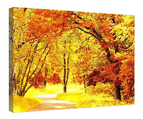 Toile bouleaux automne encadrée en bois 40x50 cm pour salon