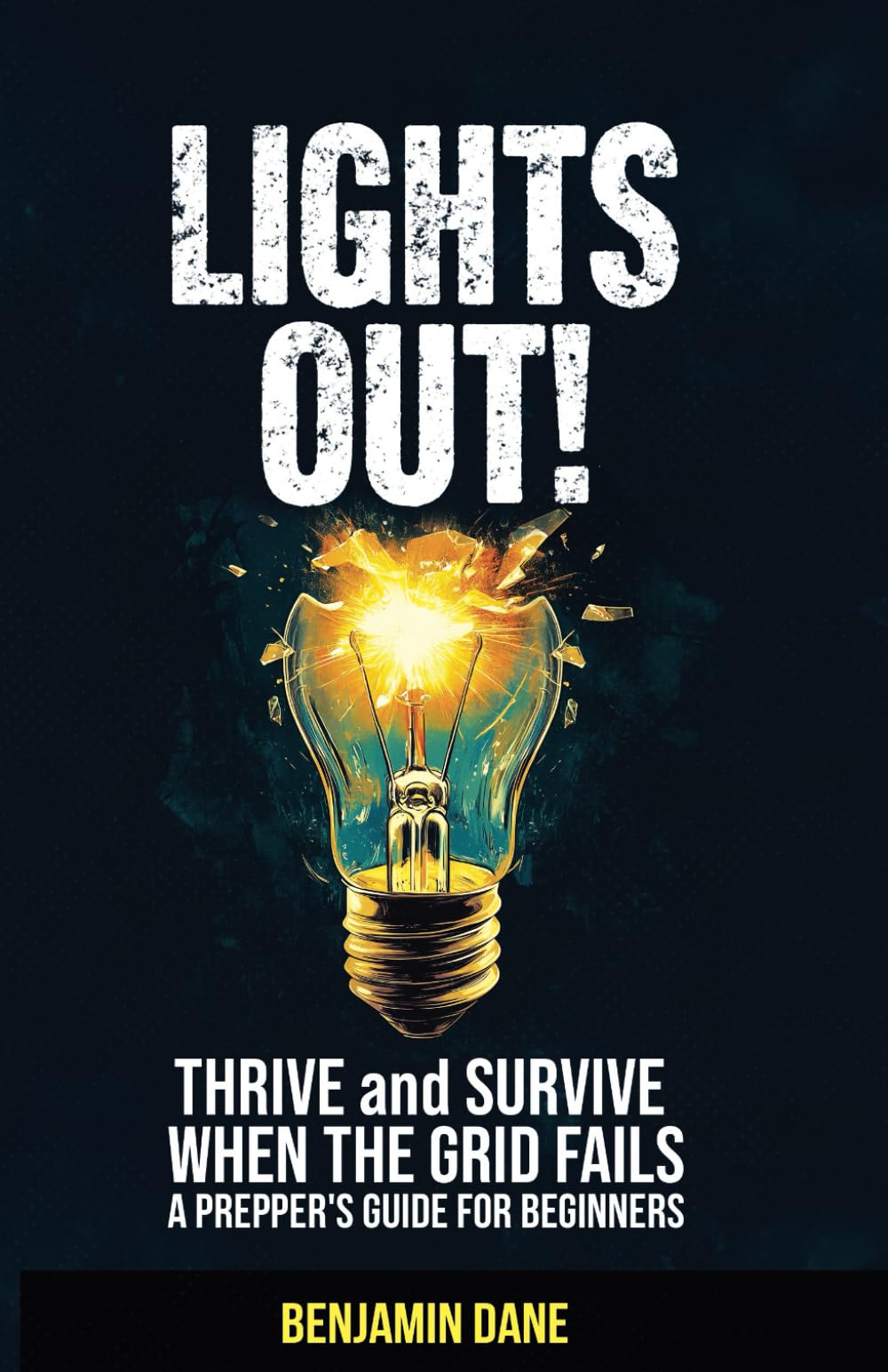 Lights Out!: Thrive and Survive When The Grid Fails—A Prepper's Guide For Beginners