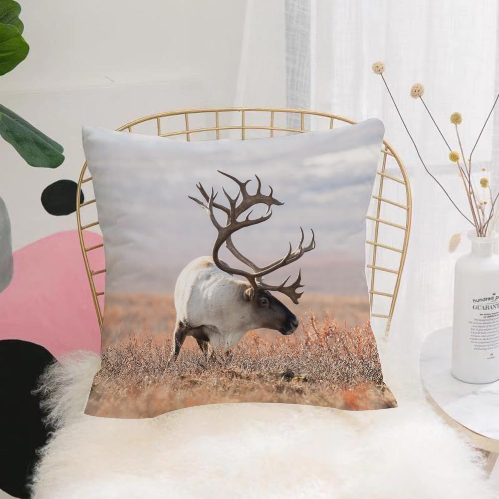 HYOSXW Cushion Cover,Throw Pillow Case Home Decorative for Living Room Bedroom Sofa Chair 16X16 Inch,Reindeer, the deer with huge horns in the vast tundra,Pillowcase 40X40cm