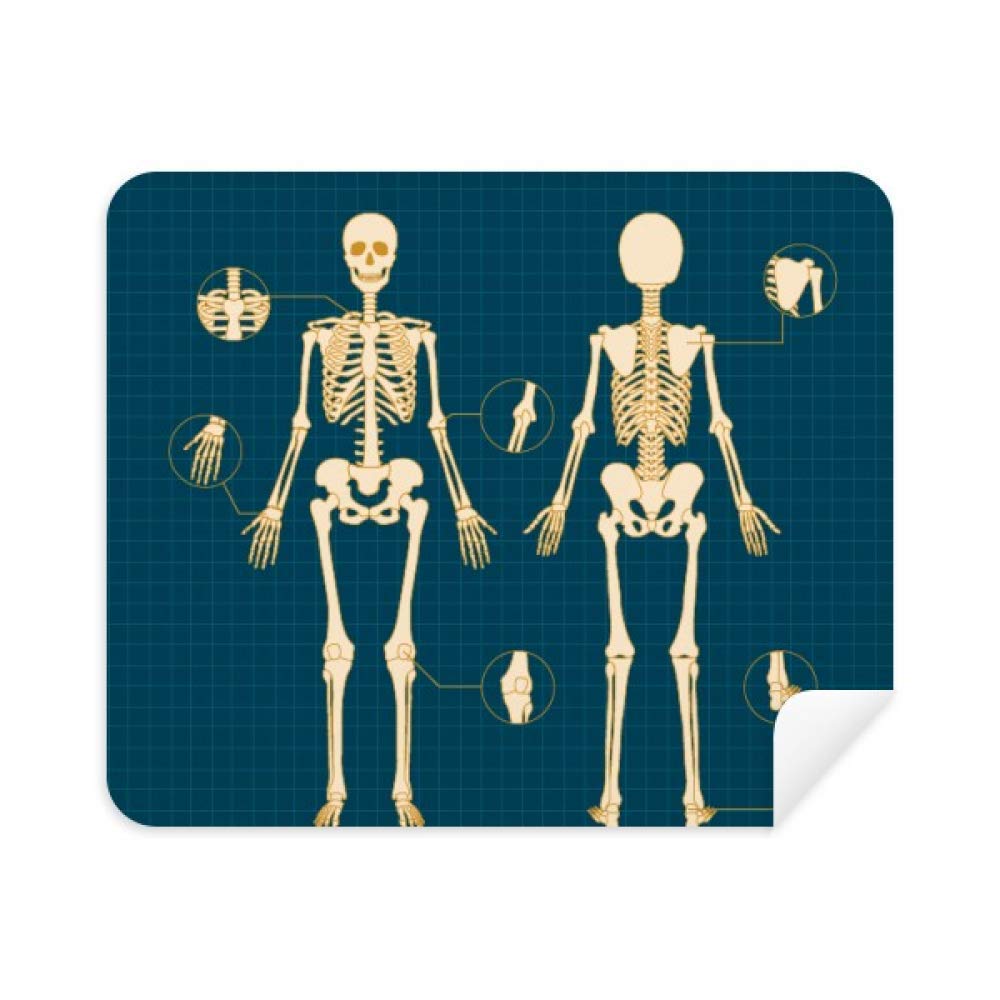 Amazon スケルトン イラスト 人間のスケルトン 携帯電話 スクリーン クリーナー メガネ クリーニングクロス 2枚 スエード生地 クリーニングクロス 通販