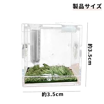 温室・飼育ケース SRA 温室・飼育ケース SRA Amazon | スマートペットインキュベーター