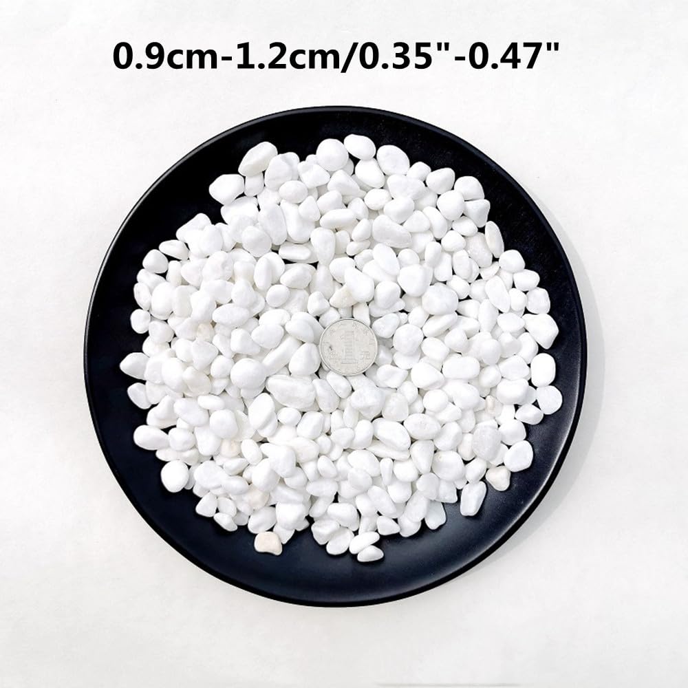 Pietre Decorative Bianche, Piccola Ghiaia da Giardino, Ciottoli di Fiume in Granuli per Acquario, Vaso di Fiori, Riempimento di Vasi e Decorazione del Giardino 9-12 mm (1kg/2.2 lbs)