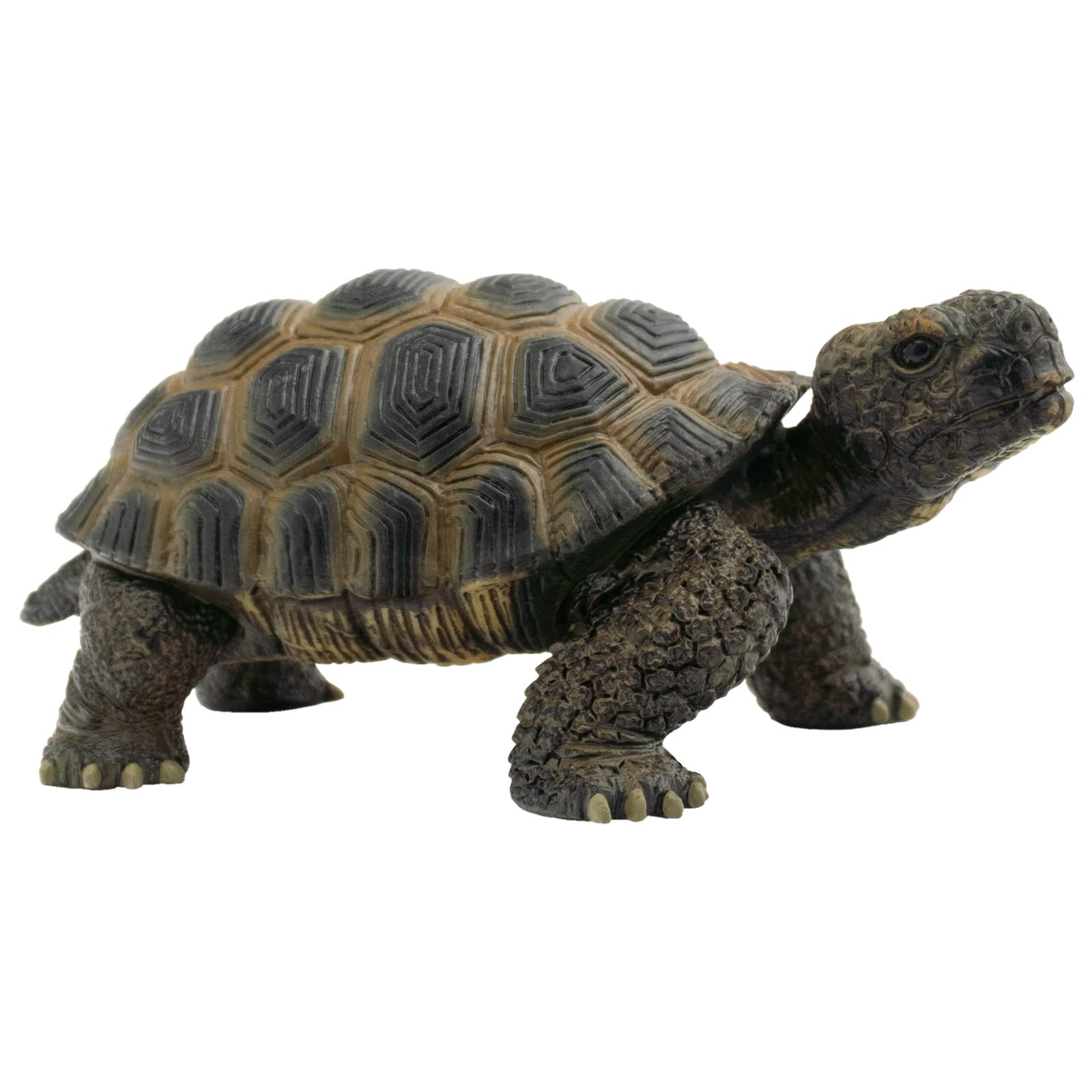 Tortoise Action Figure