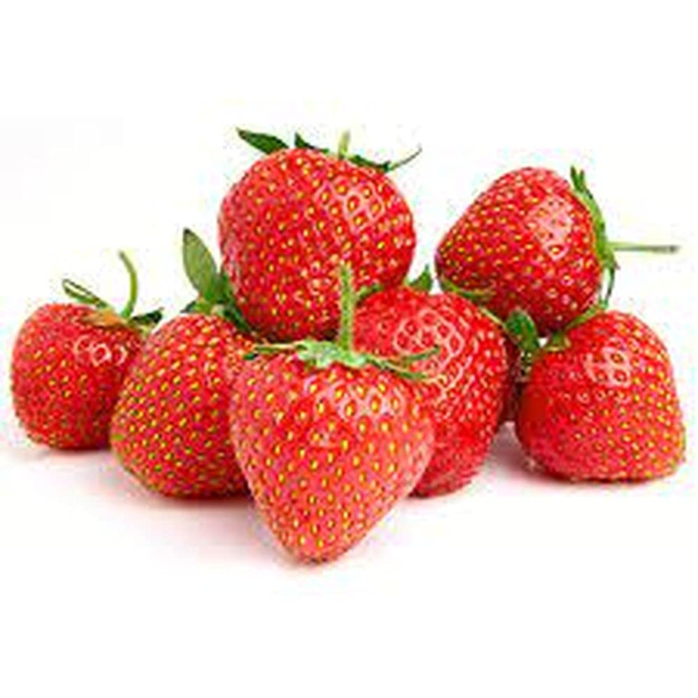 See full amazon price history chart for PLANTOGALLERY Strawberry F1 Hybrid Seeds for Gardening PLANTOGALLERY Strawberry F1 Hybrid Seeds for Gardening (B09B2NBVN6) Amazon Price History, Amazon Price Tracker