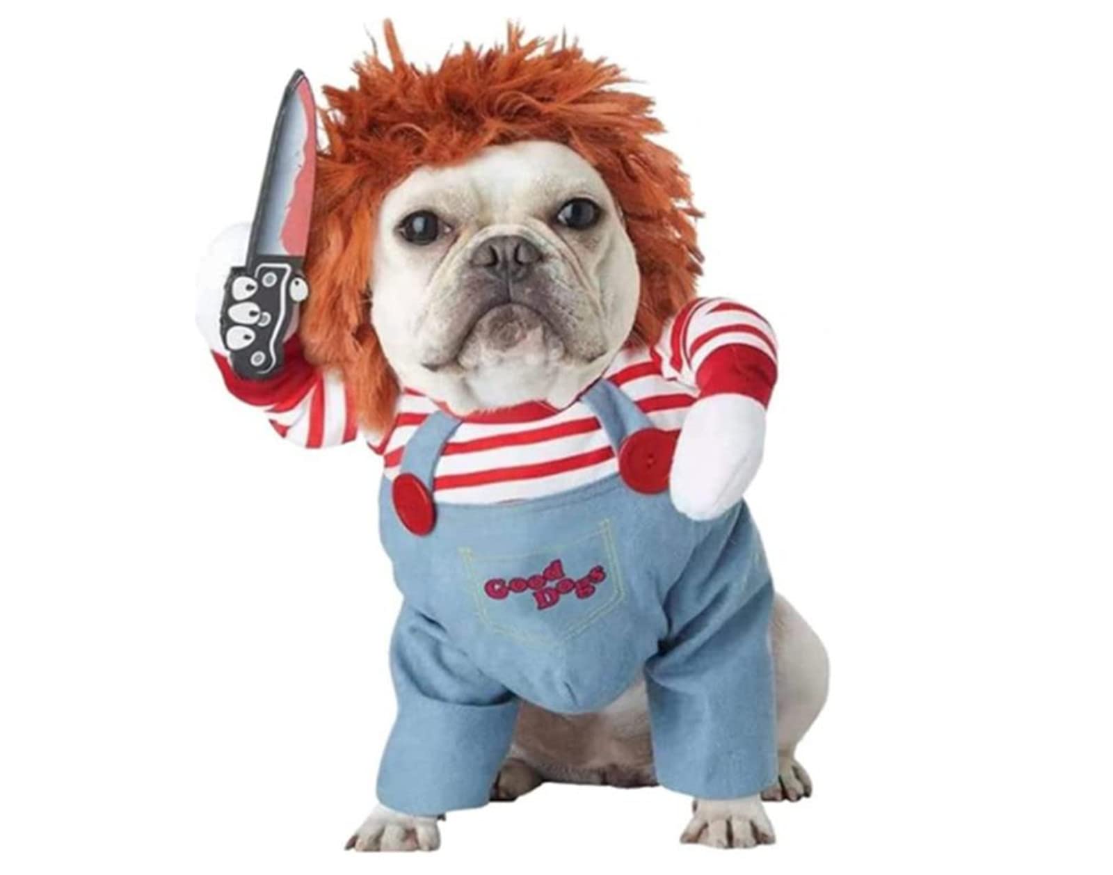 Amazon | チャッキー 変装 犬 ハロウィン 犬 服 フレブル フレンチ