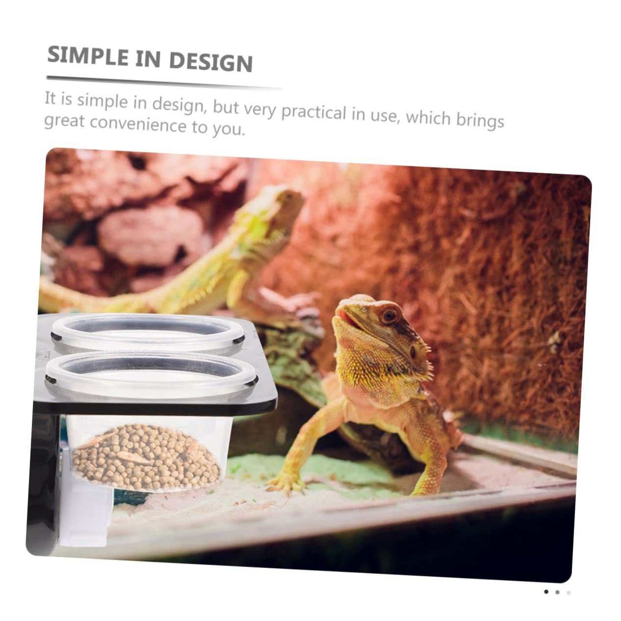 BESPORTBLE 4sets Ciotola per Rettili con Ventosa Mangiatoia Materiale Avanzato per Cibo Facile da Pulire Ciotole Extra Accessorio per Rettili e