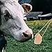 Abaodam 6pcs Lick Salt Block Alpaca Salt Lick Deer Food Horse Supplies Deer Salt Lick Block Horse Saddle for Horses to Prevent Boredom Salt Block for Horse Mineral Orange