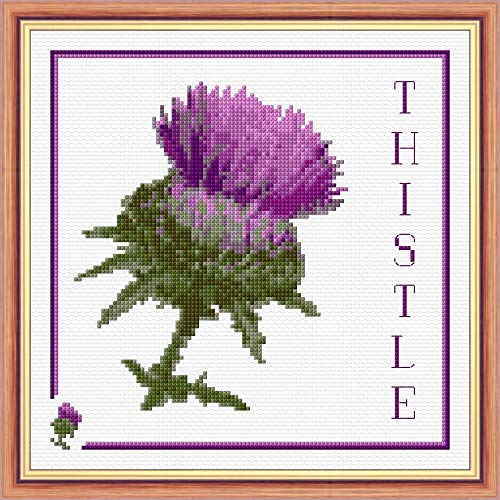 Scottish Purple Thistle, 8" Square - 14 Count Cross Stitch Kit - Free P+P