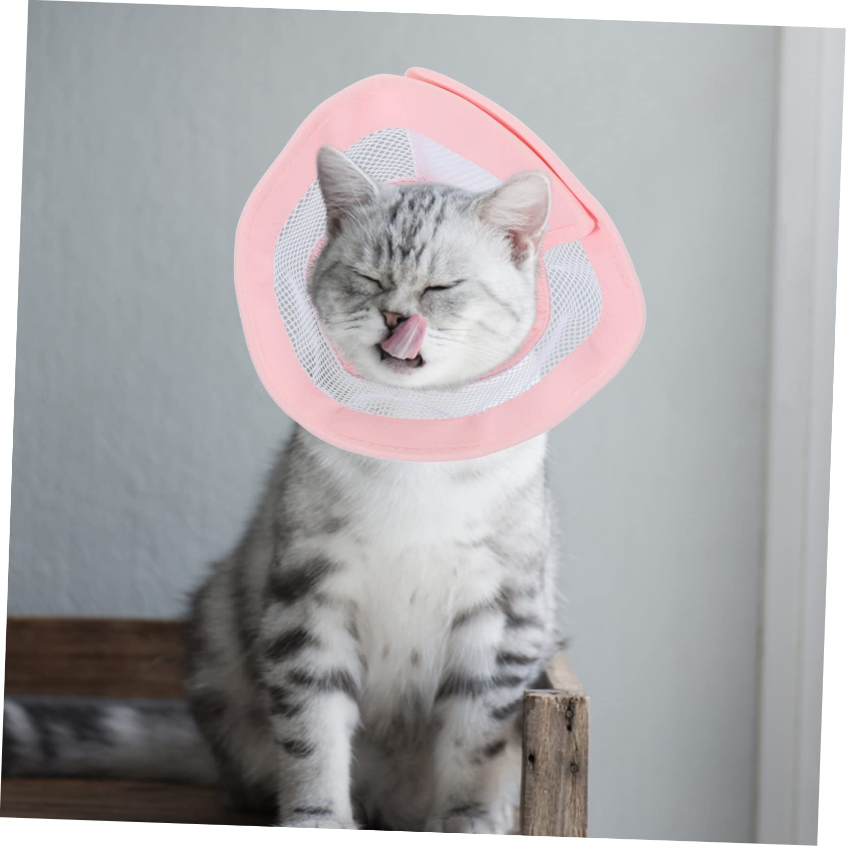 minkissy 4 Collares Cónicos Suaves para Gatos Collar Tipo Donut para Gatos Conos para Gatitos Después De La Previenen Arañazos.