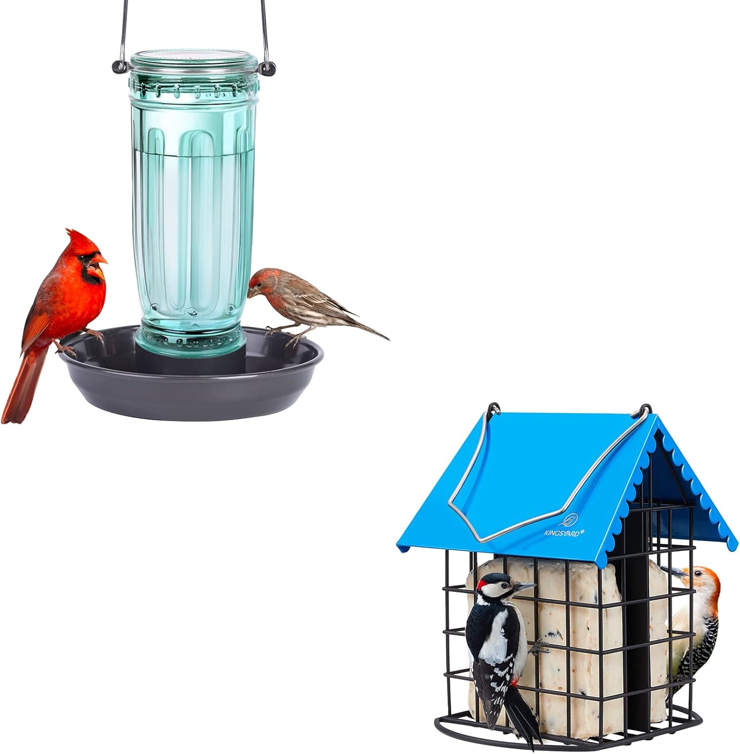 Kingsyard Bird Water Feeder, 16 Oz Glass Bird Water Dispenser Bird Waterer with Metal Hanging + Kingsyard Cute Suet Feeder with Weatherproof Roof & Perch, All Metal