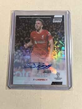 61XcGJSISxL._AC_UF350,