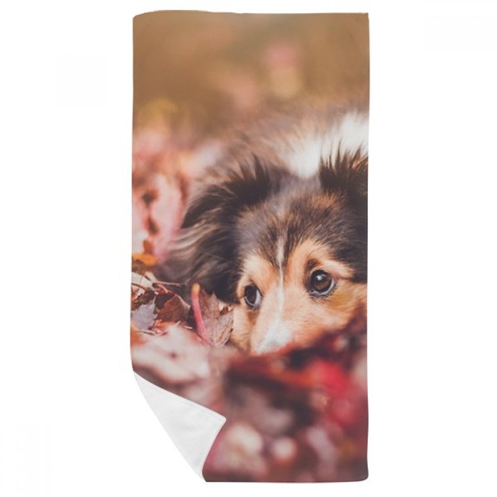 Débarbouillette douce motif chien 35x70 cm pour peaux sensibles