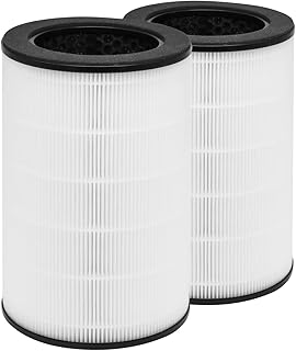 CPGSY 2 Packs 3-in-1 Replacement Filters Set Compatible with Homedics Purifier Models AP-T45, AP-T45WT, AP-T40, AP-T40WT, AP-T40WTAR, AP-T40FL, 1461901 (Costco Model)