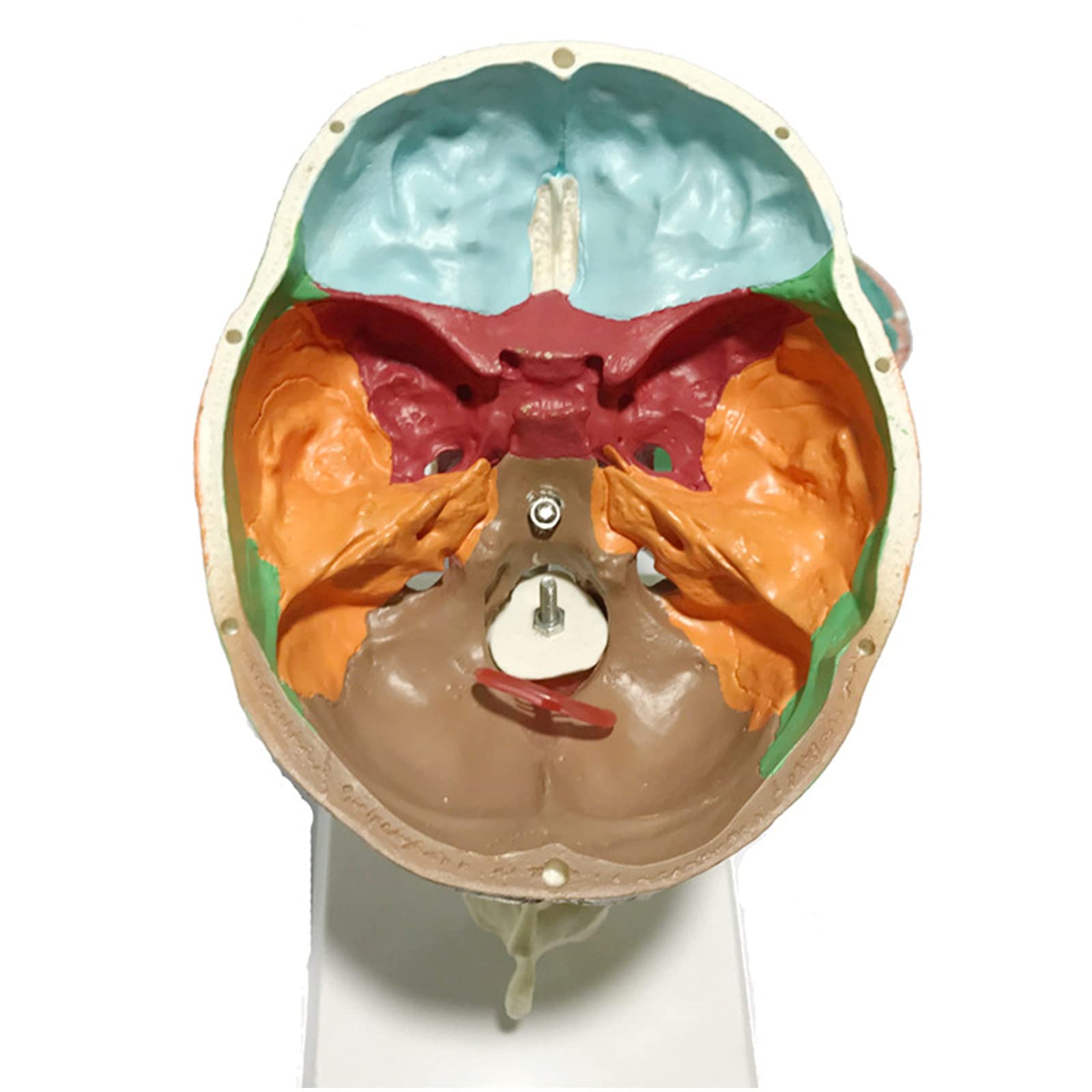 Palline vaginali, rinforzare i muscoli pelviani, da donna, attrezzatura di allenamento per esercizi del pavimento pelvico, palloni di Kegel
