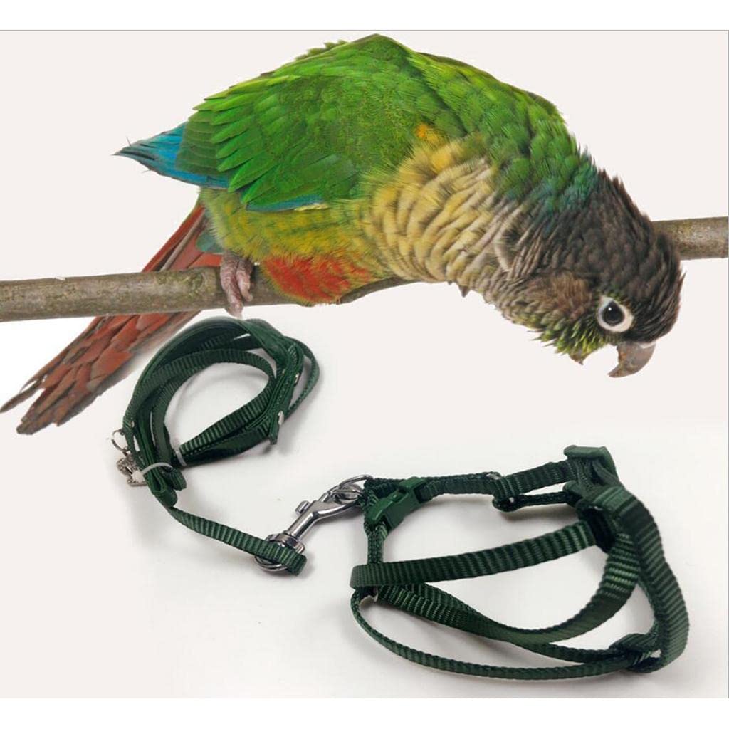 Jaula de viaje para pájaros y loros con correa de arnés para reptiles