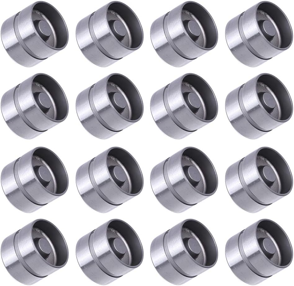 ROADFAR 16 Pack Hydraulic Valve Adjuster Valve Lifter Fit For Ford For Kia For Mazda For Mercury Replaces 85005200 LIF425 LIFMA13 LF6007 LIFMA13 17120070 HT-2270 213-1756 HL118