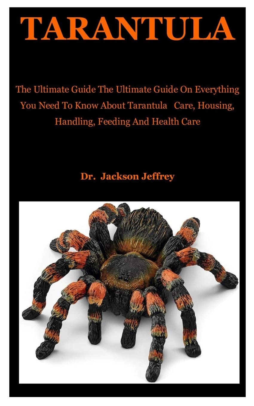 Buy Tarantula The Ultimate Guide On Everything You Need To Know About