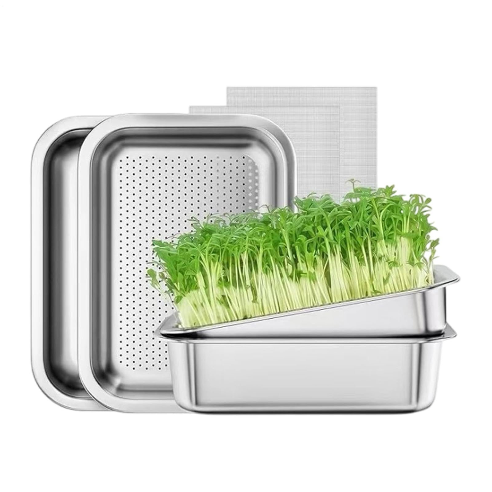Sprossen Anzuchtschale Große Rostfreie Edelstahl-Aufbewahrung Für | Mini Pflanzenanzucht- und Kultivierungsschale Für Gras Innen- und Außenbereich Garten Zuhause und Büro