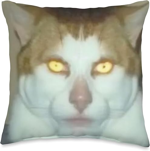 Meme Monday Left Me Broken Cat Costume Monday Left Me Broken Cat - Almohada (16 x 16 pulgadas), multicolor