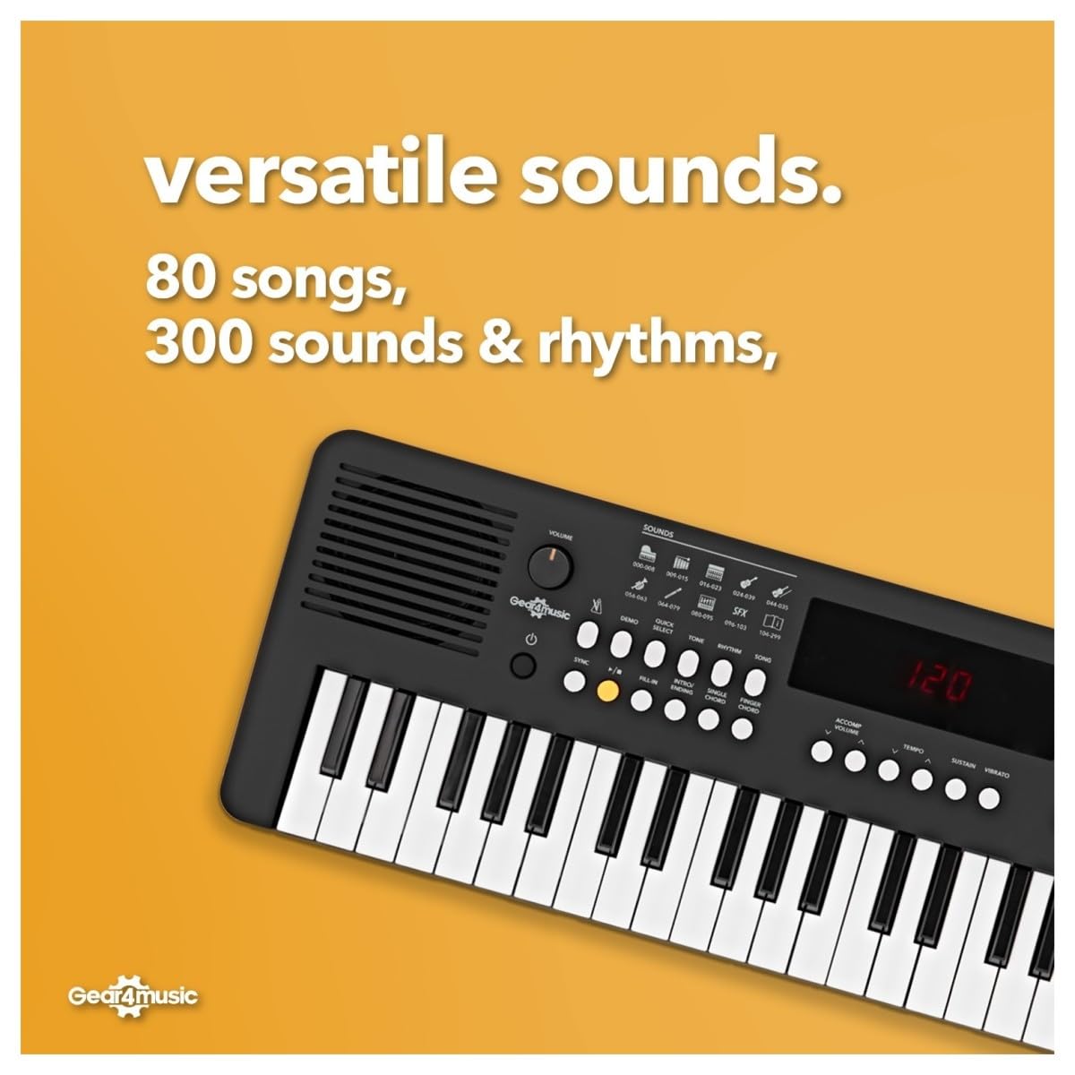 VISIONKEY-2 Tragbares MIDI-Keyboard Piano mit 49 Tasten, e-Piano, schwarz | Für Anfänger und Musikbegeisterte, 49 Minitasten, 300 Sounds und Rhythmen, USB-MIDI, Kopfhöreranschluss, Batterie oder USB