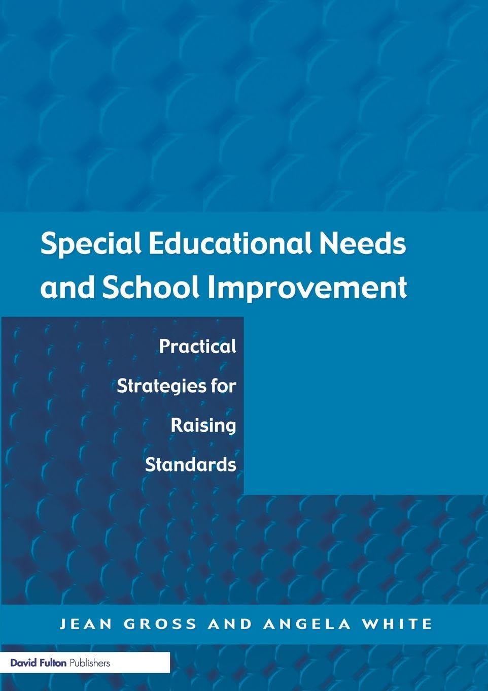 Special Educational Needs and School Improvement: Practical... - Gross, Jean