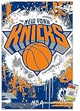 Trends International NBA New York Knicks - Maximalist Logo 23 Wall Poster, 22.37