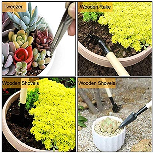 Set de herramientas de jardinería 20 piezas SaferCCTV miniatura 5