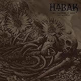 �����̒��S�ɍ炭��̗�