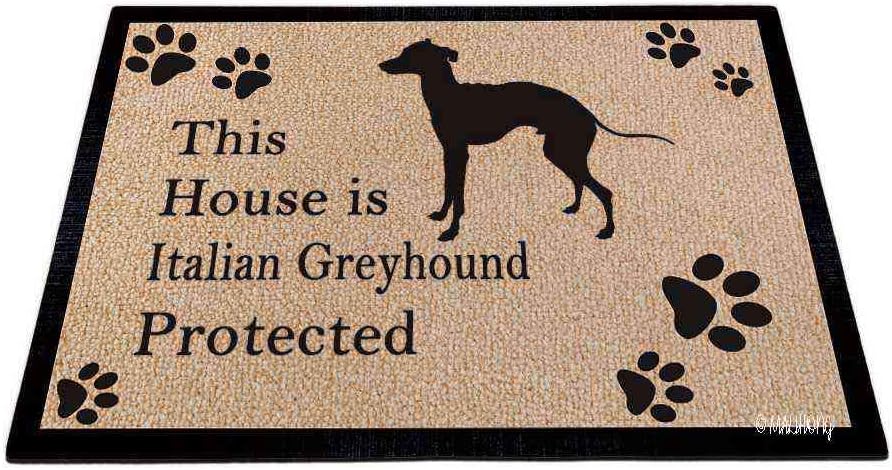 Dog Silhouette DoorFloor Mat This House is st. Bernard Protected Floor Mat Dog Paw Print Gray Rugs for Home Decor 27.5 x 17.7 Inch