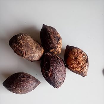 とし　大小様々　無農薬マジックリーフ　天然ももたまな葉　1000　枚 大小様々 無農薬マジックリーフ 天然ももたまな葉 1000 枚 大小様々