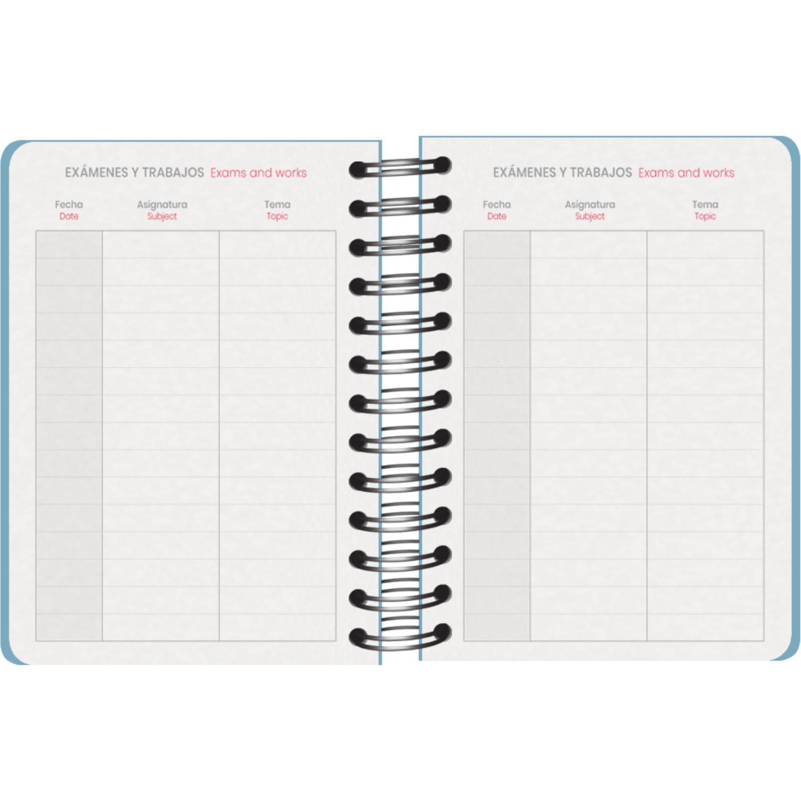 Dohe, School Planner 2025 2026, Day per Page, A6 Size (12x17 cm), Spanish and English, September to June - Image 4