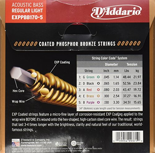 D’Addario EXPPBB170-5 Set de cordes Basse acoustique .045 .065 .080 .100 - Les Beatles, Paul McCartney, John Lennon, RIngo Starr, George Harrison D'Addario EXPPBB170-5 Set de cordes Basse acoustique .045 .065 .080 .100 – Image 3