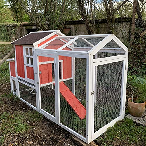 Animal Valley - Poulailler Ardennais avec Toit Shingle - Bois et Shingle - L 0,9 x l 2,2 x H 1,3 m - Taille XL - Rouge et Blanc - pour 6 à 8 Poules