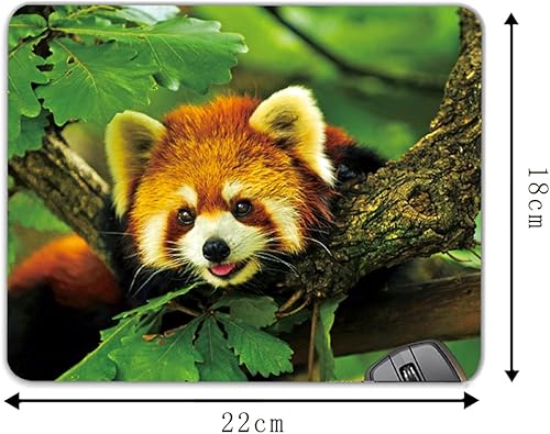 Miniatura 3 de Alfombrilla de ratón con diseño de animales de bosque de panda rojo lindo 8,6 x 7,1 pulgadas