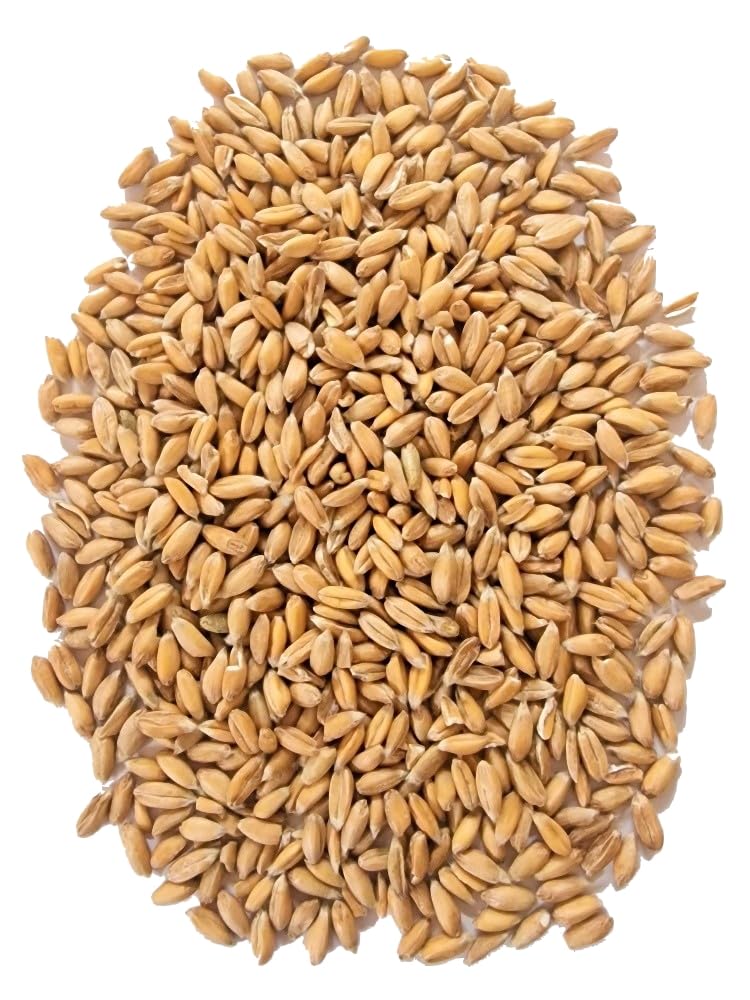 WIDU Bio Dinkel geeignet zum Backen Getreide Ganzes Korn 25 KG Getreidesack